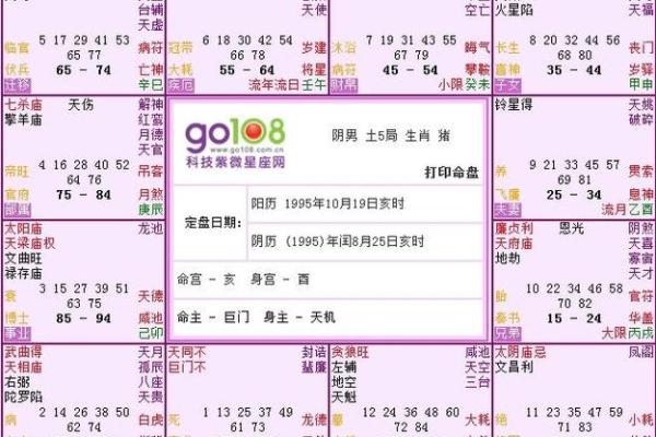 揭秘紫薇命盘:哪些命宫最能助你发财和幸福? 揭秘紫薇命盘:哪些命宫最能助你发财和幸福?