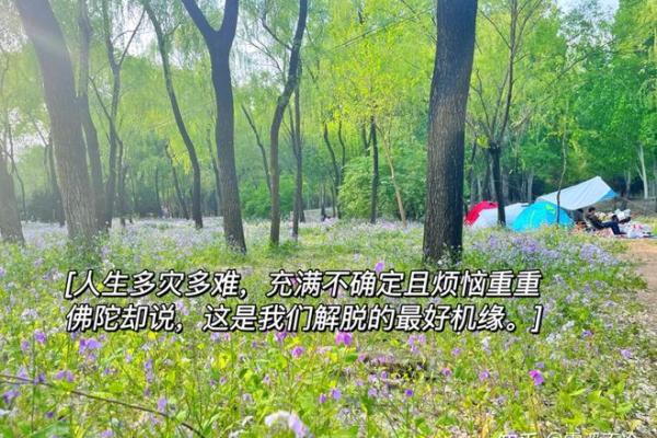 1908年:命运之年的启示与人生智慧 1908年:命运之年的启示与人生智慧