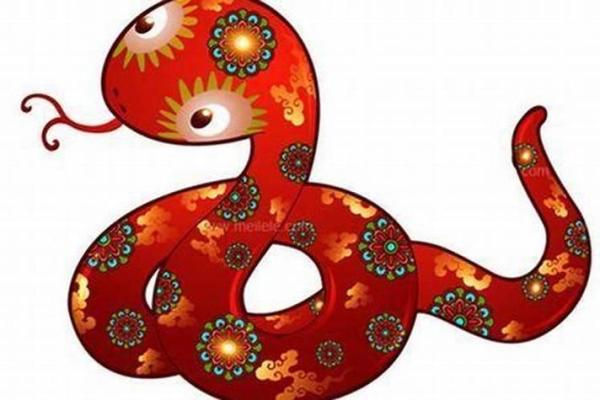 88年属蛇的命理解析与人生运势详解 88年属蛇的命理解析与人生运势详解