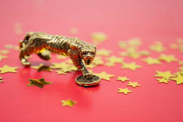 属狗人36岁:命运与人生的转折点 属狗人36岁:命运与人生的转折点