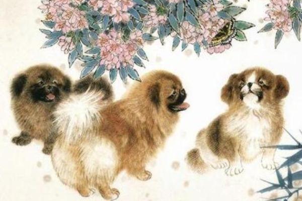 属狗命运解析:带什么字才能更好地呵护她们的生命旅程 属狗命运解析:带什么字才能更好地呵护她们的生命旅程