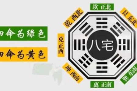 解密乾命：西四命的优势与挑战，为何有人认为不好？