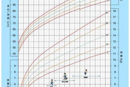农历正月鼠宝宝：命理解析与养育指南