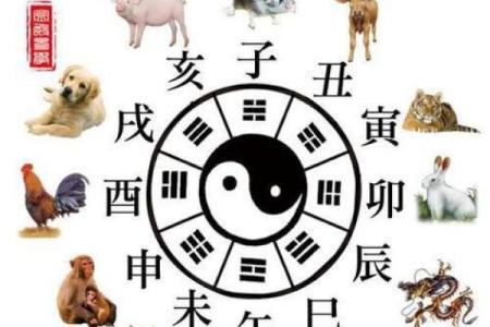 大富贵命是什么人？探索命理与财富的奥秘！