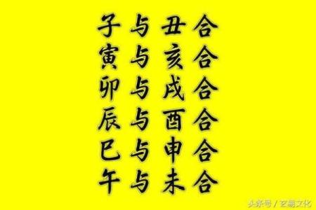 男命与女命大运相合的深层含义与影响解析