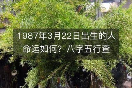 87炉中火命缺什么：了解五行与命理的深奥之道