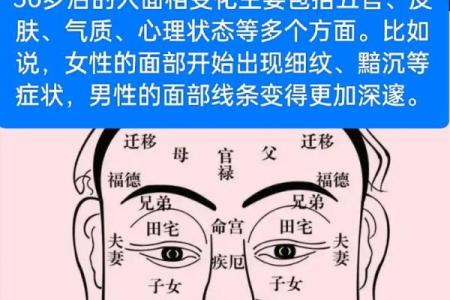 看相之道：通过面相解读你的命运与人生之路