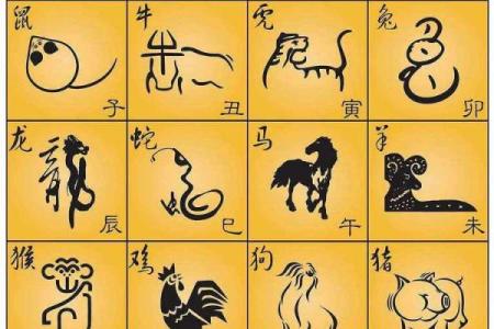 根据生肖女与命运分析，哪些生肖女命好？