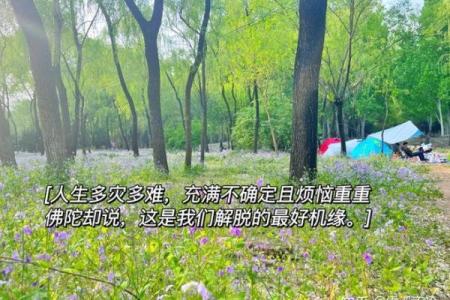 1908年：命运之年的启示与人生智慧