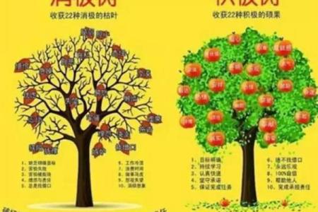 71年出生的猪：木命与水命的生活解析与命运启示