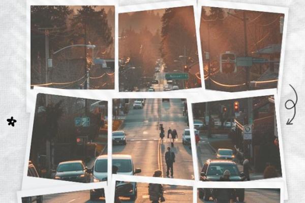 金命人生:光芒四射的成功之路与内心探索之旅 金命人生:光芒四射的成功之路与内心探索之旅