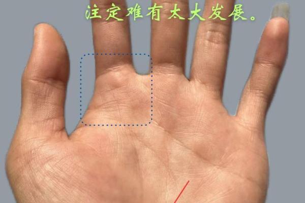 揭示手掌纹路的秘密:解码你人生的命运之路 揭示手掌纹路的秘密:解码你人生的命运之路