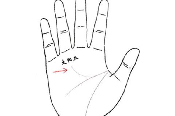 命卦坎东四命解析:运势与生活的智慧之源 命卦坎东四命解析:运势与生活的智慧之源