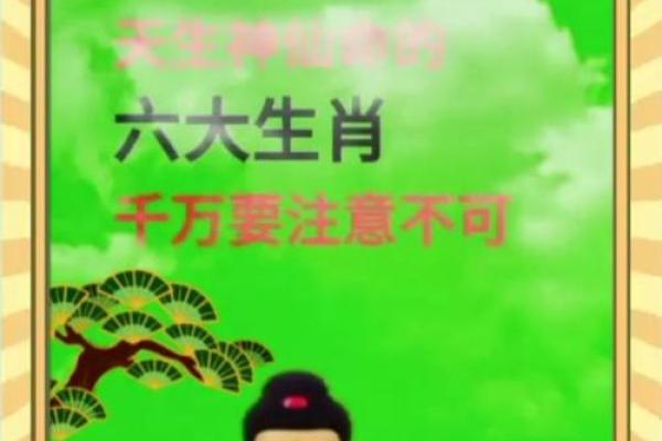 花钱替命,生肖里的深意与启示 花钱替命,生肖里的深意与启示