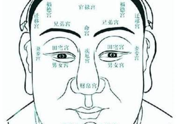 额头大凸出预示着什么命运?揭开面相之谜! 额头大凸出预示着什么命运?揭开面相之谜!