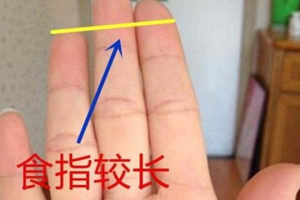 命眼解密:揭示命运与运势的神秘力量 命眼解密:揭示命运与运势的神秘力量