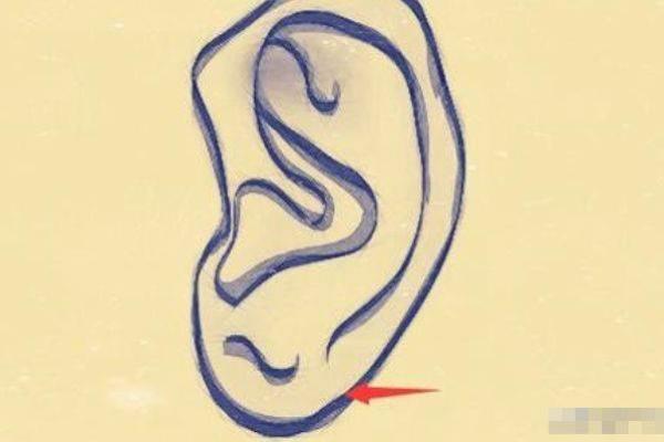 女耳朵薄的人命运解析:听得见未来的细语与隐秘 女耳朵薄的人命运解析:听得见未来的细语与隐秘