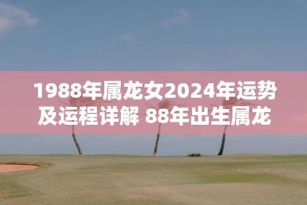 1988年属龙,龙的魅力与命运之探秘 1988年属龙,龙的魅力与命运之探秘