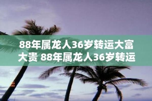 1988年属龙,龙的魅力与命运之探秘 1988年属龙,龙的魅力与命运之探秘