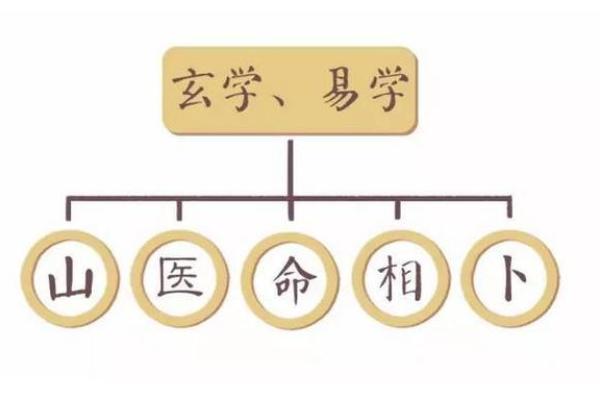 什么还是命重要：生活的真谛与选择的智慧