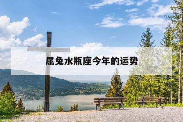 2010年属兔者的命理解析与人生运势 2010年属兔者的命理解析与人生运势