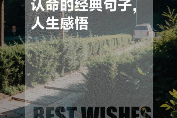 2021年的人生感悟:从命运中发现自己的光芒与力量 2021年的人生感悟:从命运中发现自己的光芒与力量