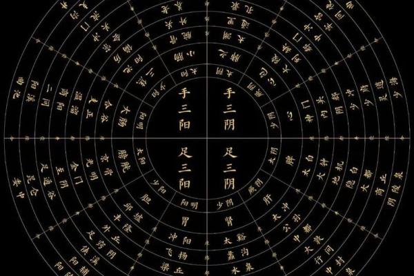 解读六三辛命:八字中的独特个性与命运轨迹 解读六三辛命:八字中的独特个性与命运轨迹