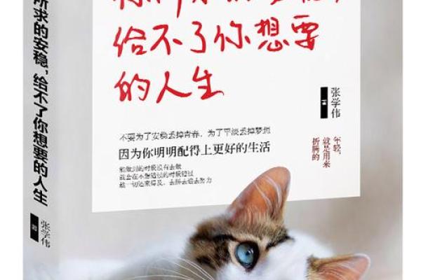 1993年出生的你:命运与机遇交织的人生旅程 1993年出生的你:命运与机遇交织的人生旅程