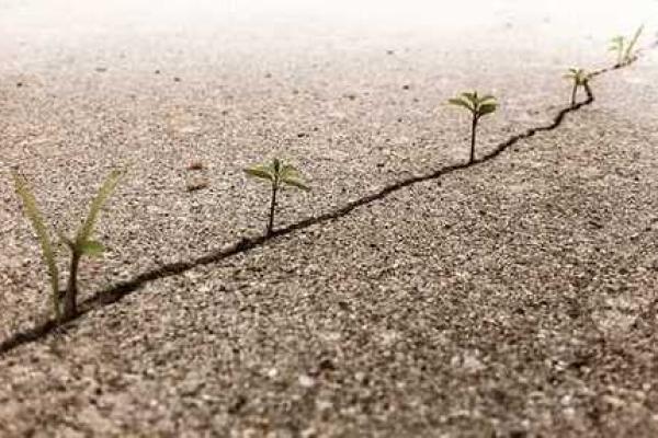 视力不好的女人:命运的挑战与生命的精彩 视力不好的女人:命运的挑战与生命的精彩