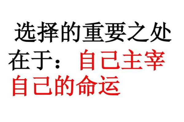 逆风扬帆,命运的转折与成语智慧的深意 逆风扬帆,命运的转折与成语智慧的深意
