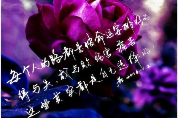 揭示人生轨迹:今天出生女孩的命运解析与未来展望 揭示人生轨迹:今天出生女孩的命运解析与未来展望