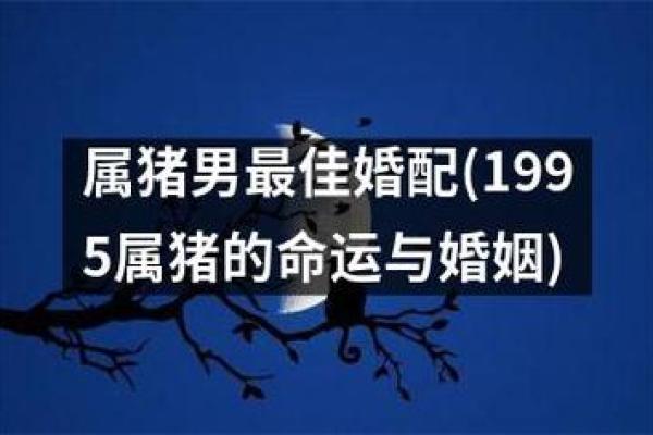 1994年属猪女的命运与性格特点解析 1994年属猪女的命运与性格特点解析