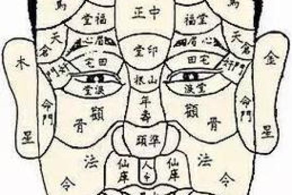 女人美人沟是什么命?探寻面相与命运的秘密 女人美人沟是什么命?探寻面相与命运的秘密