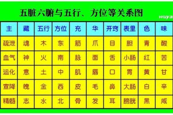 把脉肺脾命:探究健康与命运的关系与内在联系 把脉肺脾命:探究健康与命运的关系与内在联系
