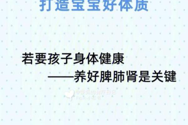 把脉肺脾命:探究健康与命运的关系与内在联系 把脉肺脾命:探究健康与命运的关系与内在联系