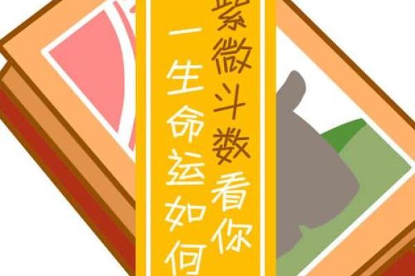 揭开八字命局与姓名命盘的神秘面纱,窥探命运玄机 揭开八字命局与姓名命盘的神秘面纱,窥探命运玄机