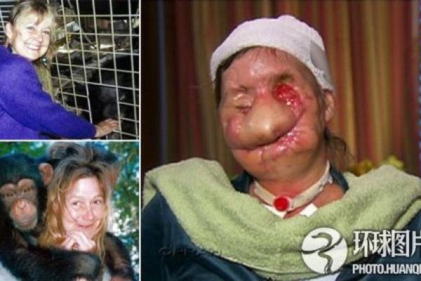 虎口脱险:探秘那些落入猛兽之口的动物故事 虎口脱险:探秘那些落入猛兽之口的动物故事