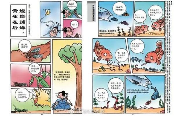 命运之轮:揭示命开头成语的智慧与人生哲学 命运之轮:揭示命开头成语的智慧与人生哲学