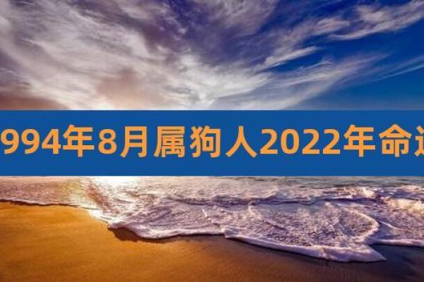 狗年出生的孩子命运解析:如何充分发挥狗年命的优势 狗年出生的孩子命运解析:如何充分发挥狗年命的优势