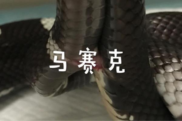 1374年:探索命运与时空的交错奥秘 1374年:探索命运与时空的交错奥秘