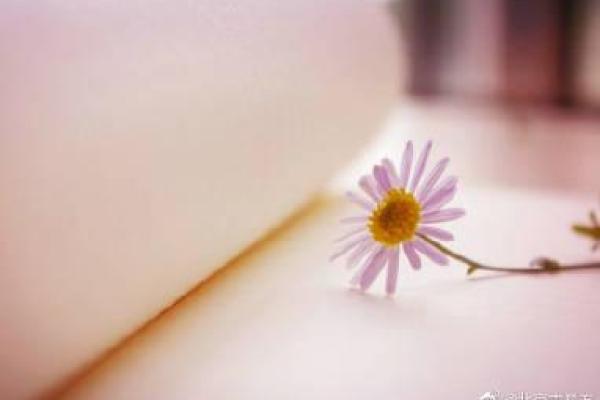 探秘小草命理:草本植物与命运的神秘联系 探秘小草命理:草本植物与命运的神秘联系