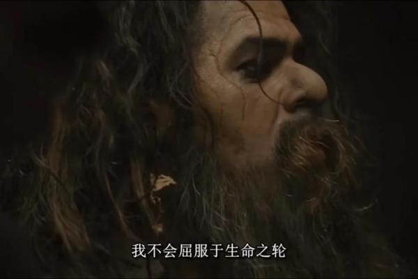 96年冬月:命运之轮下的温暖人生启示 96年冬月:命运之轮下的温暖人生启示