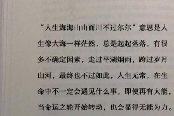 96年冬月:命运之轮下的温暖人生启示 96年冬月:命运之轮下的温暖人生启示