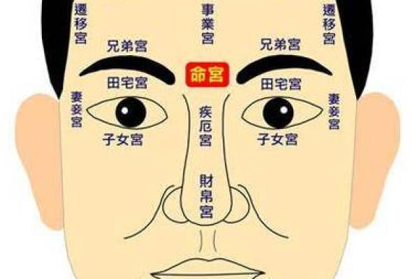 探索面相学:如何从面相看贪财命与好命的秘密 探索面相学:如何从面相看贪财命与好命的秘密