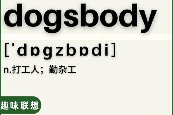 乌龟投胎:揭示人与命运之间的奇妙联系 乌龟投胎:揭示人与命运之间的奇妙联系