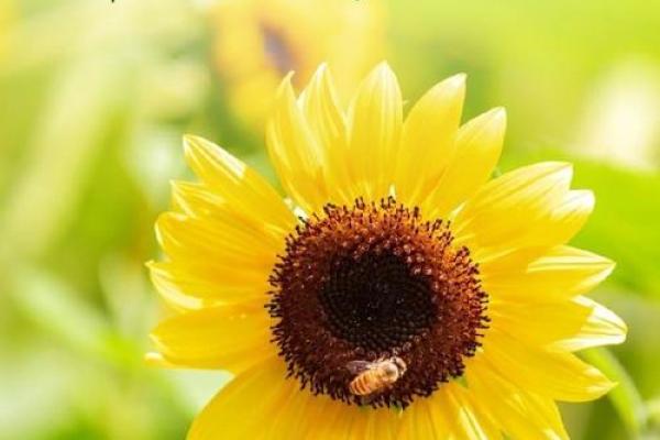 不信命,才会掌握自己的未来! 不信命,才会掌握自己的未来!