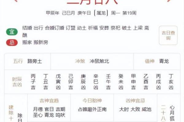 根据生肖与命理,探索你的财富与运势! 根据生肖与命理,探索你的财富与运势!