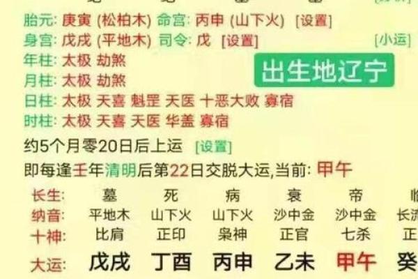 1991年阳历出生的人命理解析:人生的机遇与挑战 1991年阳历出生的人命理解析:人生的机遇与挑战