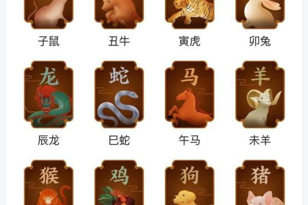 1961年兔年出生的人命运解析与生活智慧 1961年兔年出生的人命运解析与生活智慧