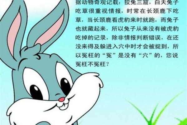 1961年兔年出生的人命运解析与生活智慧 1961年兔年出生的人命运解析与生活智慧